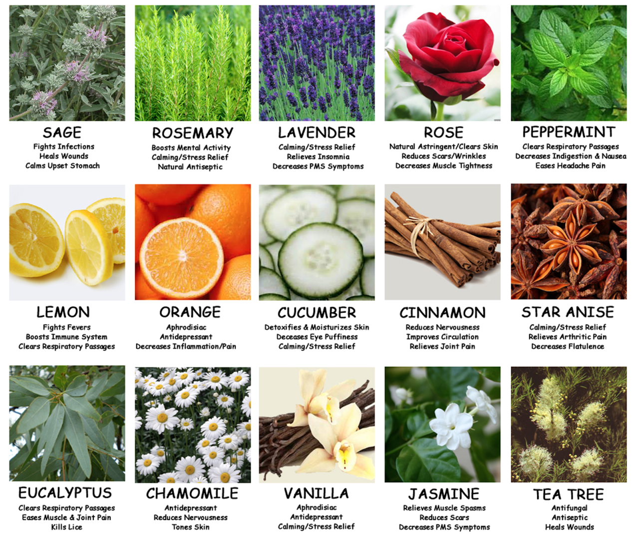 Essential oil aromatherapy chart