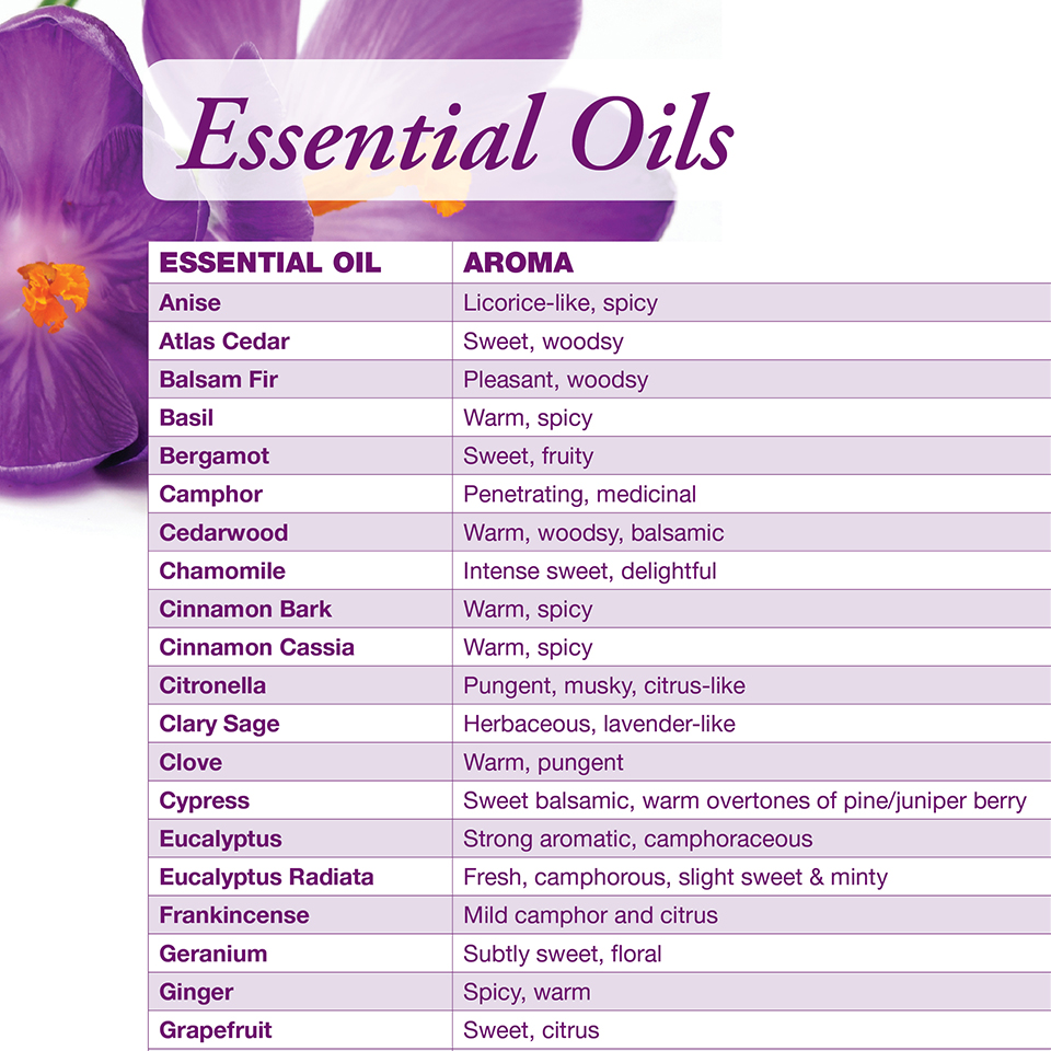 Essential oils uses oil benefits different guide usage basic their use tea tree list used clove recipes fragrance natural